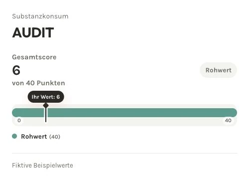 Fiktive AUDIT-Auswertung: Rohwert 6 von 40 Punkten, ohne Schweregradeinteilung.