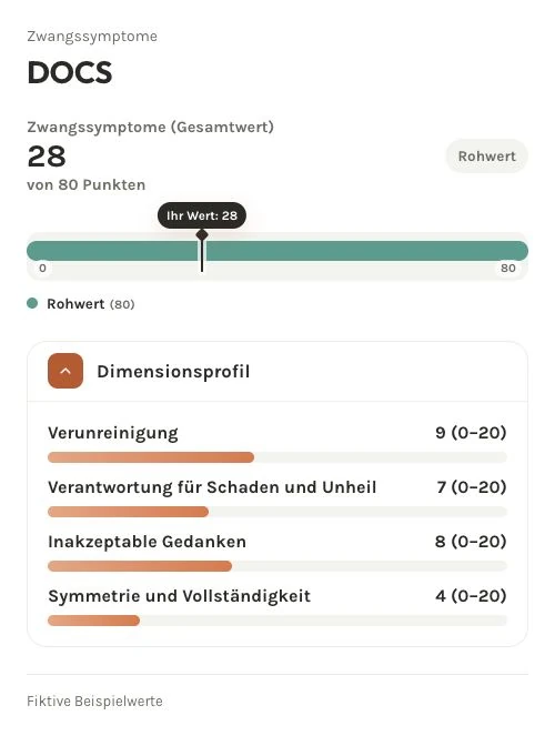 Fiktive DOCS-Auswertung: Gesamtwert 28 von 80; vier Teilskalen von 0 bis 20 als Balkenprofil ohne Schweregradgrenzen.