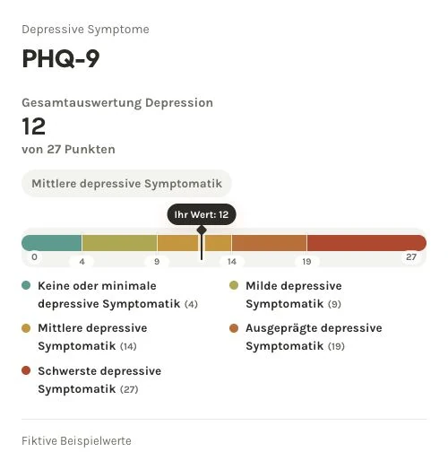 Fiktive PHQ-9-Auswertung: 12 von 27 Punkten, mittlere depressive Symptomatik; fünf Bereiche nach PHQ-D-Manual.